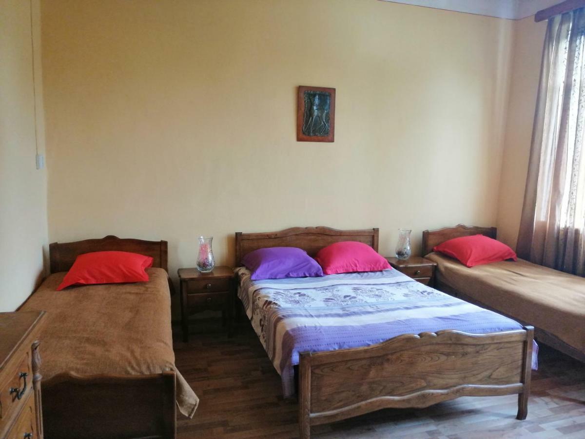 Guesthouse Saniko Martvili Dış mekan fotoğraf