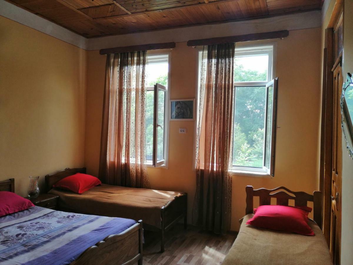 Guesthouse Saniko Martvili Dış mekan fotoğraf
