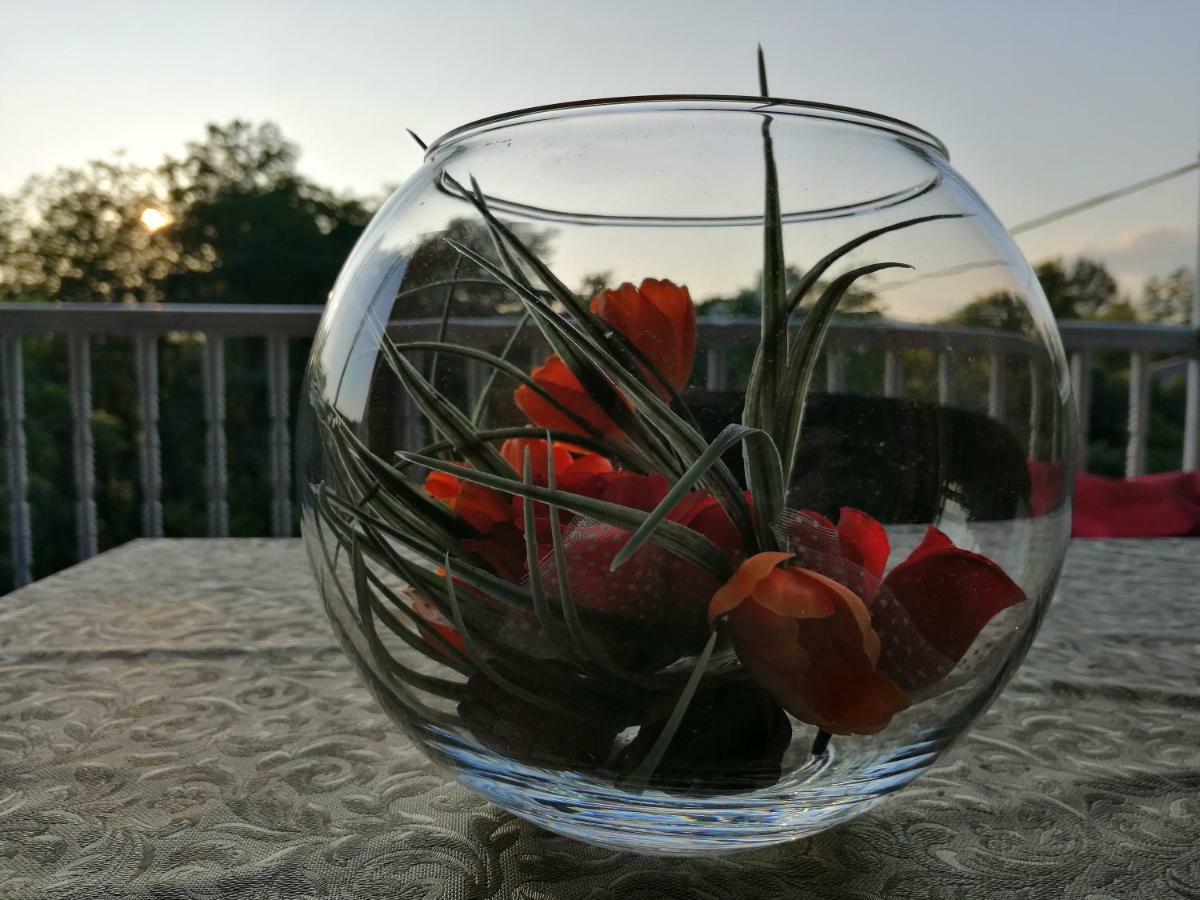 Guesthouse Saniko Martvili Dış mekan fotoğraf